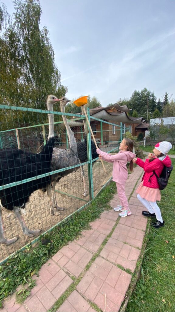 экскурсия живонтые страусы мини ферма