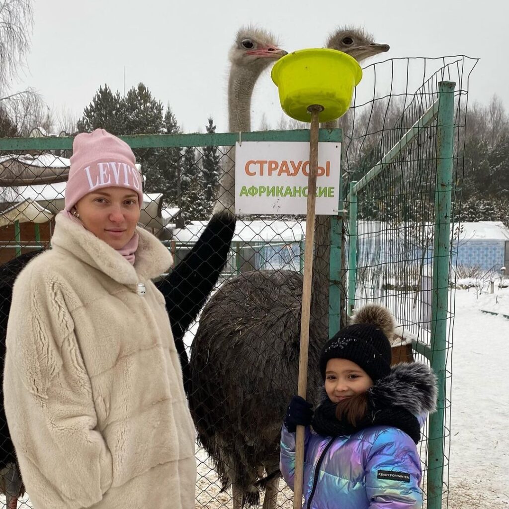 Страусиная ферма подмосковье. Страус в Московском зоопарке фото.