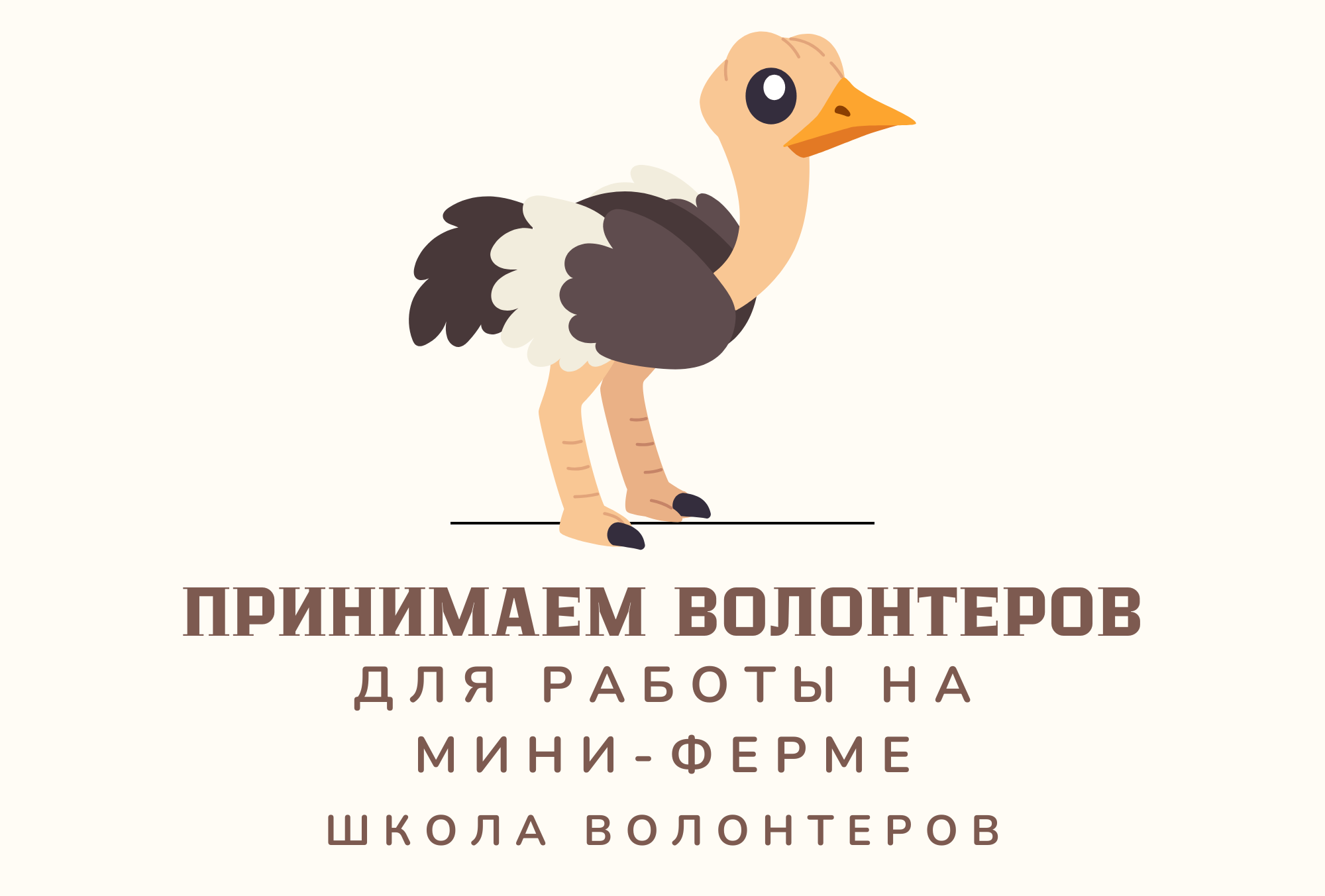 мини ферма страус